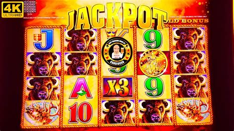 huge jackpot slots|buffalo gold slot jackpot huge.